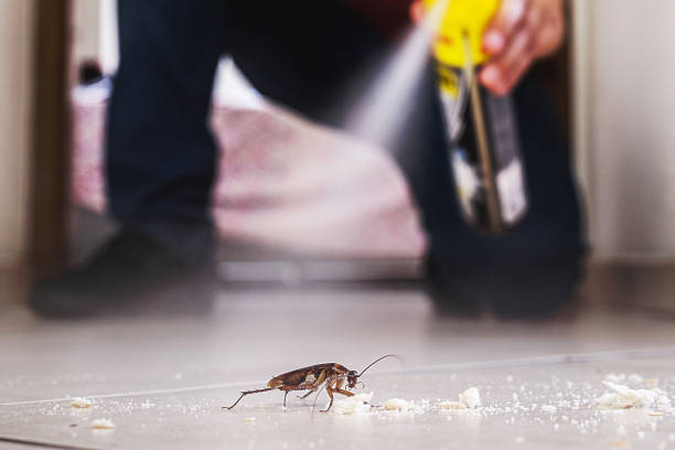 Wildlife Control Services in Old Orchard, PA